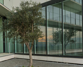 Facultad de Ciencias de la Salud. Campus de Teatinos. Marzo de 2015