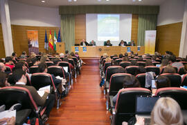 Mesa 1: "La perspectiva de las Naciones Unidas". Jornada "Brexit y Gibraltar. Un reto con oportunidades conjuntas". Edificio del Rectorado. Febrero de 2017