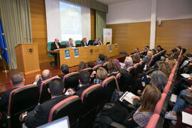 Mesa 1: "La perspectiva de las Naciones Unidas". Jornada "Brexit y Gibraltar. Un reto con oportunidades conjuntas". Edificio del Rectorado. Febrero de 2017
