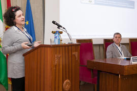 Intervención de Josefina Santolaya. VII Workshop Sección Estrategia Empresarial de Acede. Facultad de Ciencias Económicas y Empresariales. Málaga. Febrero de 2015