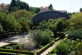 Jardín Botánico de la Universidad de Málaga. Campus de Teatinos. Octubre de 2012