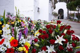 Entierro de Eugenio Chicano. Cementerio de Vélez-Málaga. Noviembre de 2019