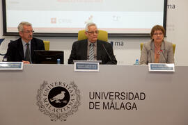 Segunda sesión del X Pleno del Consejo Universitario Iberoamericano (CUIB) en la Universidad de Málaga. Rectorado. Marzo de 2012