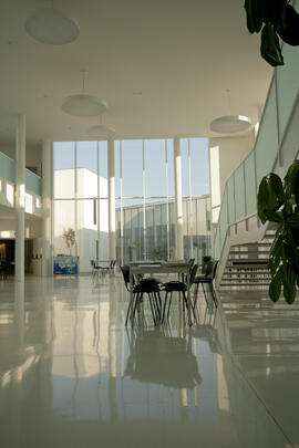 Facultad de Ciencias de la Salud. Campus de Teatinos. Marzo de 2015