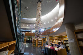 Biblioteca General con la instalación "Biblioteca de Babel XIII", de José Ignacio Díaz de Rábago. Campus de Teatinos. Enero de 2018