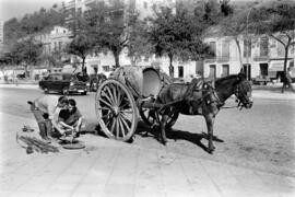 Málaga. Empleados municipales en el saneamiento del alcantarillado. Avenida de Pries. Septiembre de 1963