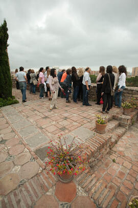 Visita anual de la conferencia de la RedOTRI en el centro histórico de Málaga. Junio de 2010