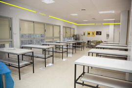 Aula de Anatomía de la Facultad de Medicina. Campus de Teatinos. Abril de 2012