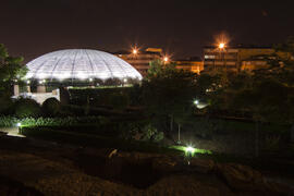 Jardín Botánico de la Universidad de Málaga. Campus de Teatinos. Junio de 2009