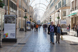 Exposición "La Universidad de Málaga del Siglo XXI". Calle Larios. Enero de 2017