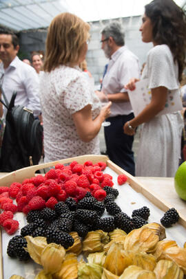Showcooking en Patio del Hotel Molina Larios. Curso "Ciencia y gastronomía. Desmontando leyendas urbanas". Cursos de Verano de la Universidad de Málaga. Málaga. Julio de 2019