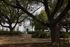 Jardín central del Campus de El Ejido. Abril de 2021