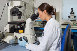 SCAI: Servicios Centrales de Apoyo a la Investigación de la Universidad de Málaga. Campus de Teatinos. Noviembre de 2016