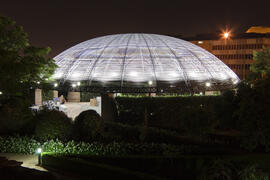 Jardín Botánico de la Universidad de Málaga. Campus de Teatinos. Junio de 2009
