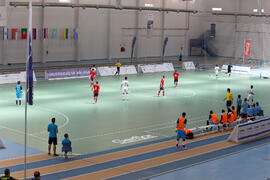 Partido España contra Portugal. 14º Campeonato del Mundo Universitario de Fútbol Sala 2014 (FUTSAL). Antequera. Julio de 2014