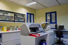 CIMES: Centro de Investigaciones Médico Sanitarias. Campus de Teatinos. Mayo de 2013