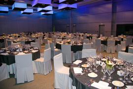 Cena de gala con motivo al homenaje para los jubilados y personal que cumple 25 años de servicio en la Universidad de Málaga. Hotel Barceló. Febrero de 2009