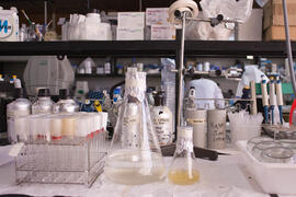 Laboratorio. Mayo de 2013