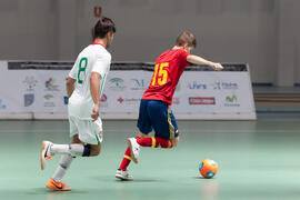 Partido España contra Portugal. 14º Campeonato del Mundo Universitario de Fútbol Sala 2014 (FUTSAL). Antequera. Julio de 2014