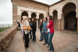 Visita anual de la conferencia de la RedOTRI en el centro histórico de Málaga. Junio de 2010