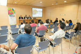 Mesa Redonda: “La perspectiva judicial en los procesos de externalización y reversión de servicios públicos”. Curso "La externalización y remunicipalización de los servicios públicos". Cursos de verano 2018 de la Universidad de Málaga. Marbella. Julio de 2018