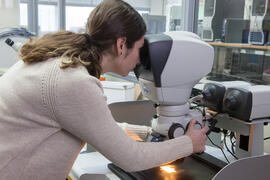 Laboratorio de Radiofrecuencia, Microondas y Milimétricas. Escuela Ténica Superior de Ingeniería de Telecomunicación. Enero de 2017