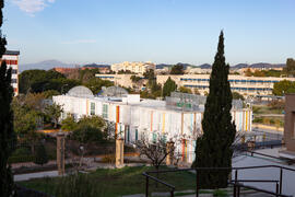 Jardín Botánico. Campus de Teatinos. Diciembre de 2020
