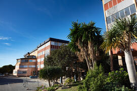 Exteriores de la Facultad de Ciencias de la Universidad de Málaga. Campus de Teatinos. Febrero de 2021