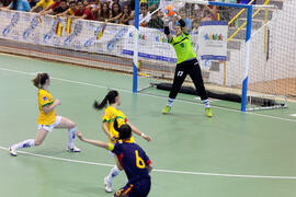 Partido Brasil contra España. 14º Campeonato del Mundo Universitario de Fútbol Sala 2014 (FUTSAL). Antequera. Julio de 2014