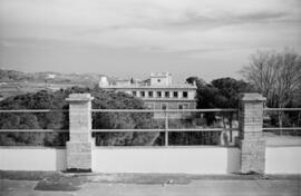 Málaga. Finca del Obispado en Velez-Málaga. Marzo de 1963
