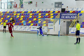 Partido Irán contra Bielorrusia. 14º Campeonato del Mundo Universitario de Fútbol Sala 2014 (FUTSAL). Antequera. Julio de 2014