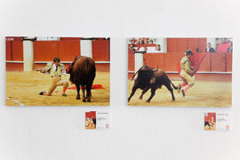 Exposición "Málaga 2013: Un año de fotoperiodismo" en La Térmica. Mayo de 2014