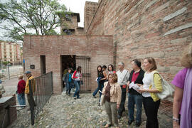 Visita anual de la conferencia de la RedOTRI en el centro histórico de Málaga. Junio de 2010
