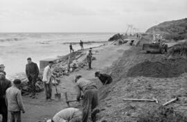 Málaga. Obras de remodelación de la Carretera de Cádiz tras los destrozos causados por el temporal de viento. Enero de 1963