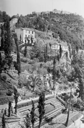 Málaga. Jardines de Puerta Oscura. Abril de 1963