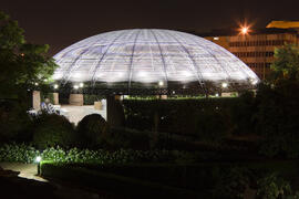 Jardín Botánico de la Universidad de Málaga. Campus de Teatinos. Junio de 2009
