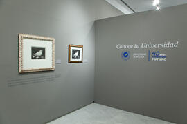 Exposición "Conoce tu universidad. 40 años compartiendo futuro". Sala de exposiciones del Rectorado. Noviembre de 2012