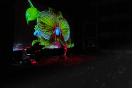 Concierto de Luz Casal. Apertura del Curso Académico 2019-2020 de la Escuela Técnica Superior de Arquitectura de la Universidad de Málaga. Teatro Cervantes. Octubre de 2019