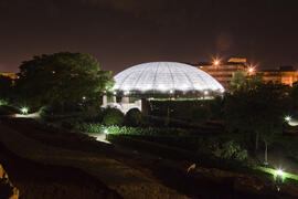 Jardín Botánico de la Universidad de Málaga. Campus de Teatinos. Junio de 2009