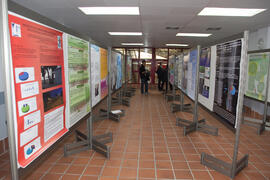 Presentación de pósters. 4º Congreso Internacional de Actividad Físico-Deportiva para Mayores. Complejo Polideportivo Universitario. Marzo de 2011