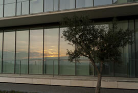 Facultad de Ciencias de la Salud. Campus de Teatinos. Marzo de 2015