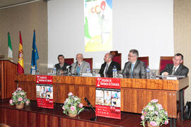 II Jornadas Andaluzas de Enseñanza de Economía de la Facultad de Ciencias Económicas y Empresariales de la Universidad de Málaga. Enero de 2009