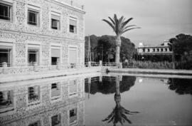 Málaga. Finca del Obispado en Velez-Málaga. Marzo de 1963