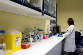 CIMES: Centro de Investigaciones Médico Sanitarias. Campus de Teatinos. Mayo de 2013